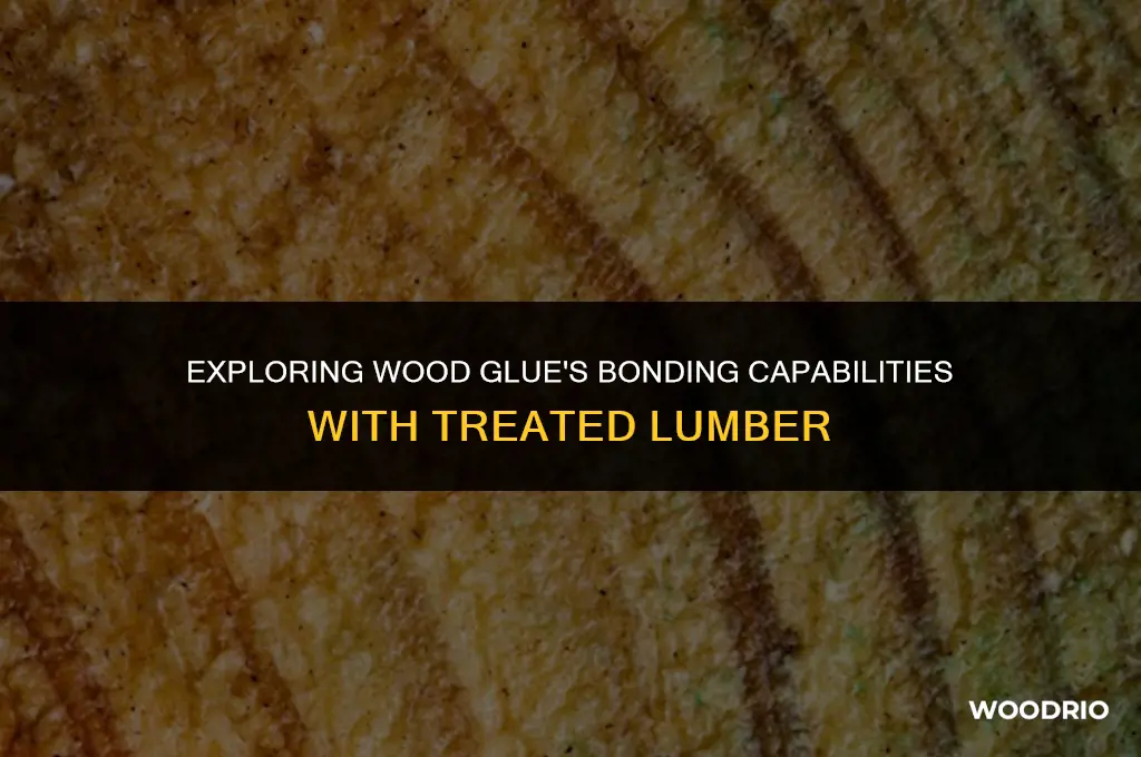 does wood glue adhere to treated lumber