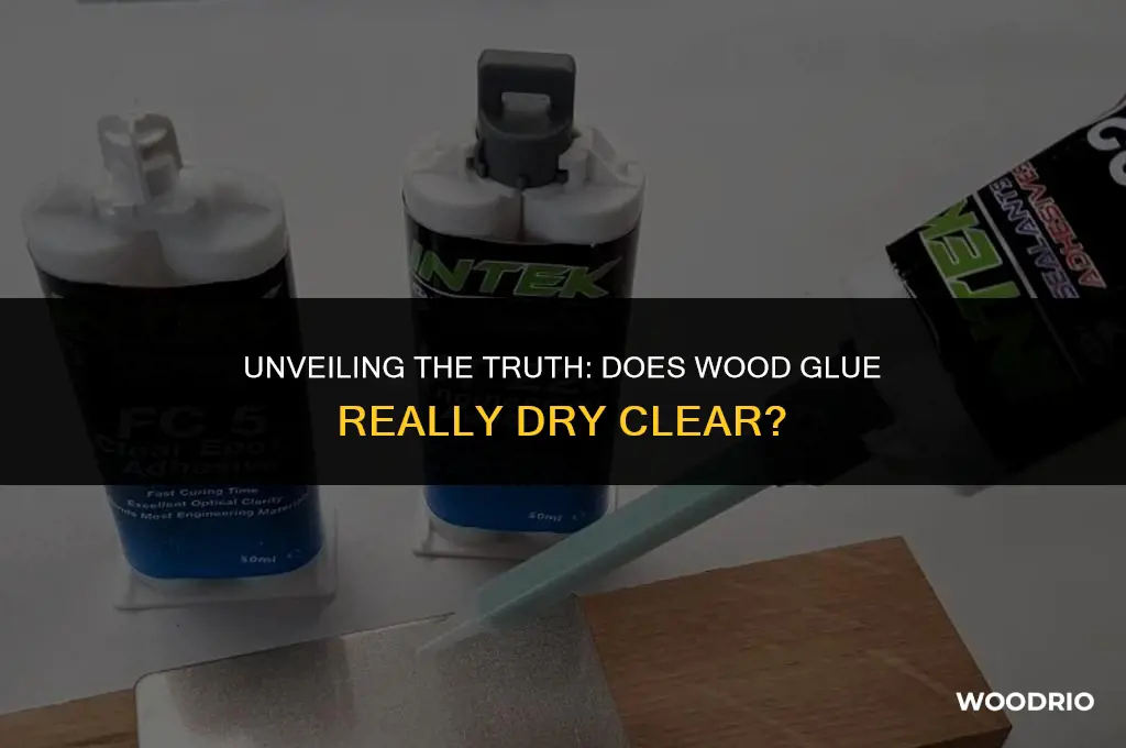 does wood glue dry clear
