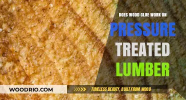 Exploring Wood Glue's Effectiveness on Pressure-Treated Lumber