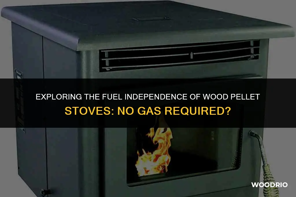 does wood pellet stove need a gas supply
