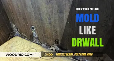 Wood Paneling vs. Drywall: Which Is More Resistant to Mold?