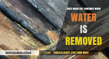 Arresting Decay: Can Wood Rot Be Halted by Removing Moisture?