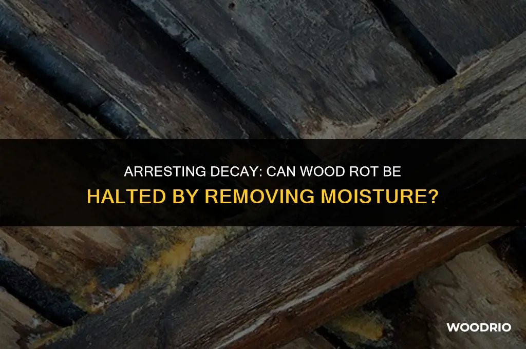 does wood rot continue when water is removed