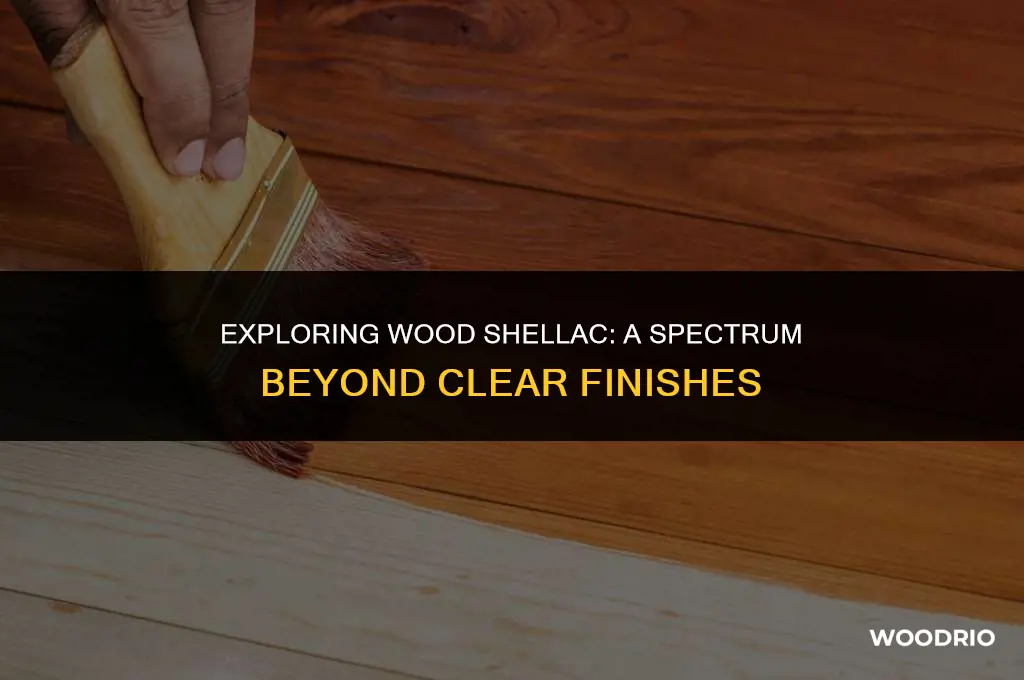 does wood shellac come other than clear