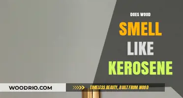 Exploring the Scent Connection: Wood and Kerosene Compared