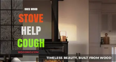 Exploring the Soothing Effects of Wood Stoves on Coughs