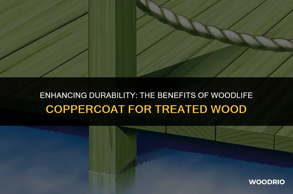 does woodlife coppercoat help treated wood