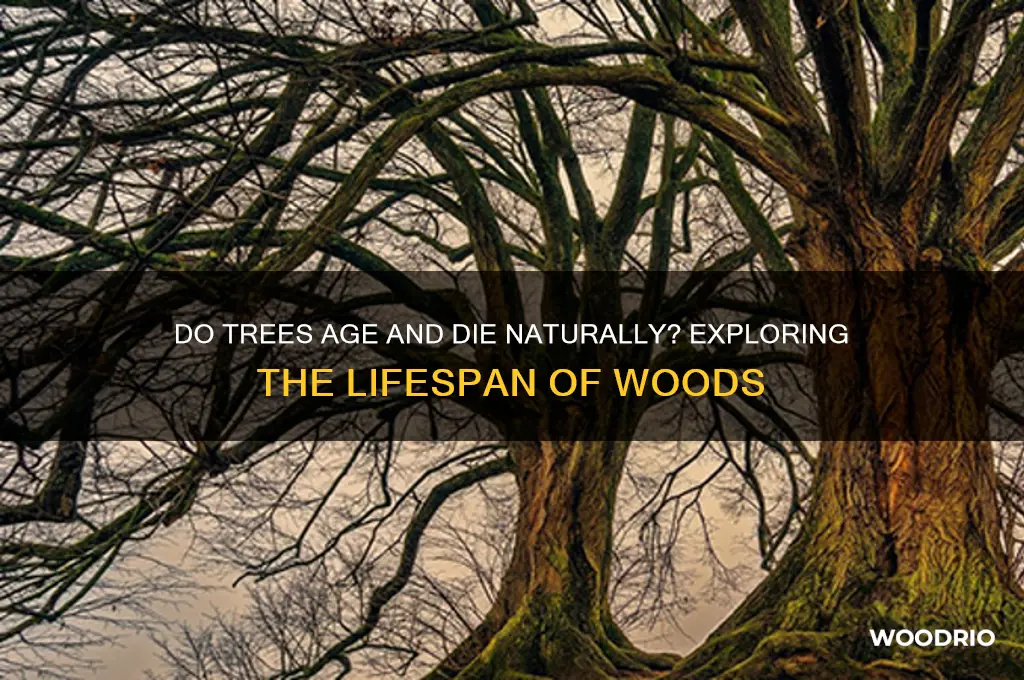 does woods die of old age