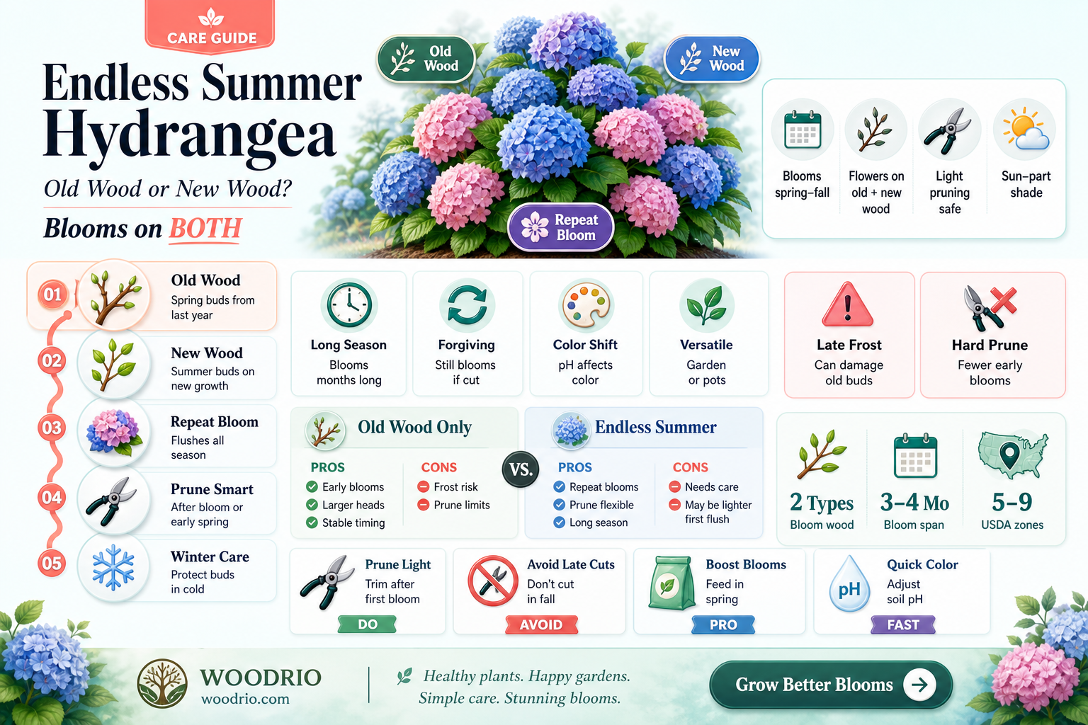 are endless summer hydrangea old wood or new wood