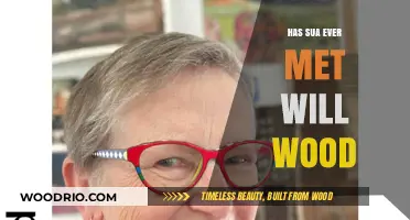 Exploring the Intriguing Connection: Has Sua Ever Met Will Wood?