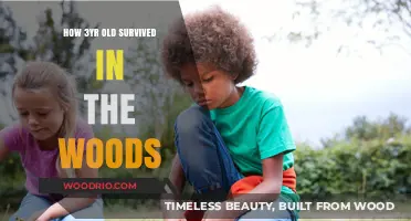 Lost and Found: A Toddler's Miraculous Survival in the Wild