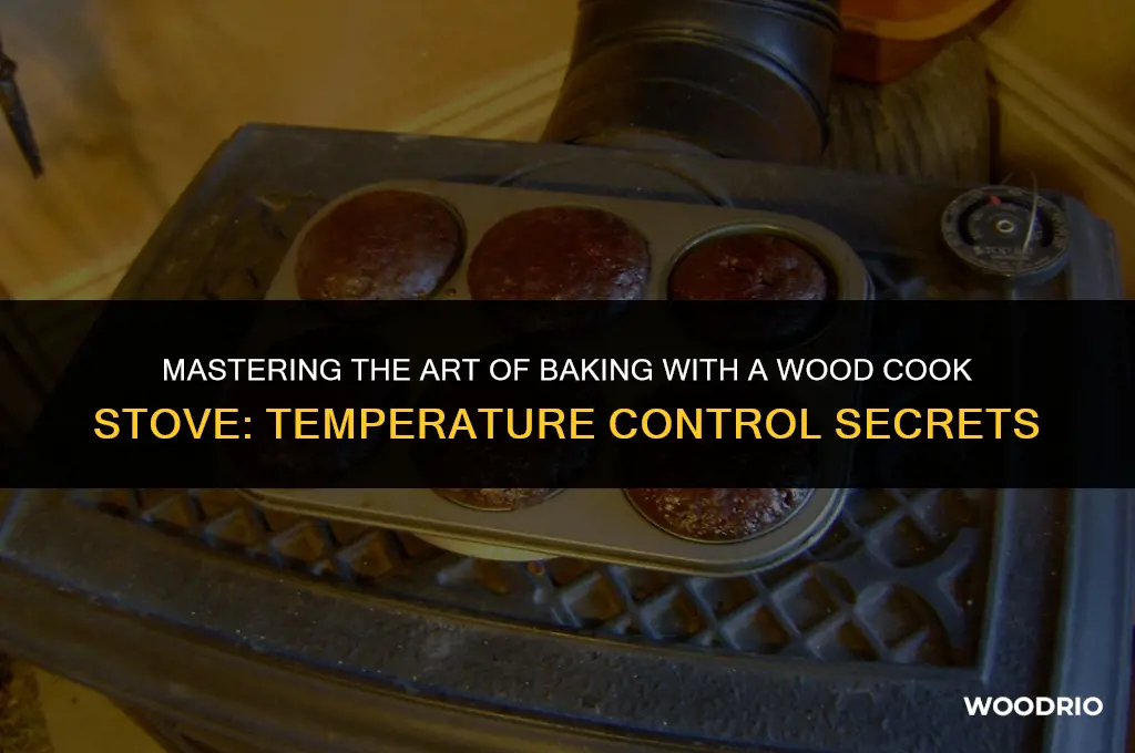 how a wood cook stove works controlling baking temperatures