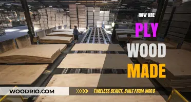 Exploring the Craft: How Plywood is Made from Timber to Tool