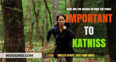 The Woods Beyond: Katniss's Sanctuary, Survival, and Symbolic Refuge