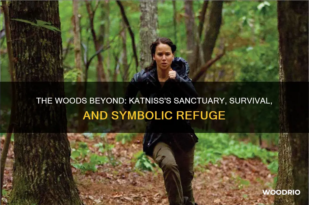 how are the woods beyond the fence important to katniss