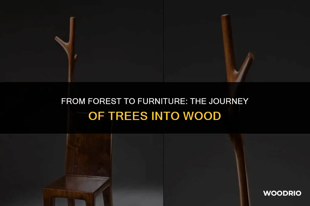 how are trees made into wood
