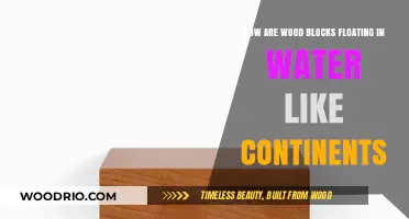 Wooden Wonders: How Blocks Float Like Continents in Water