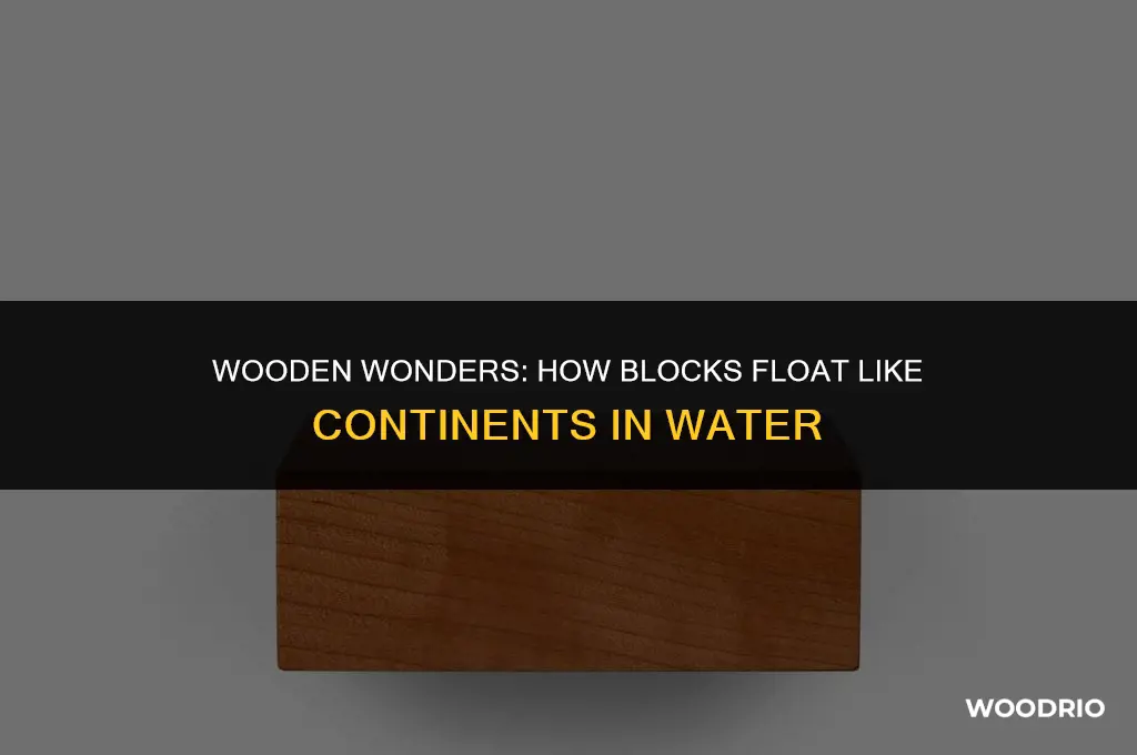 how are wood blocks floating in water like continents