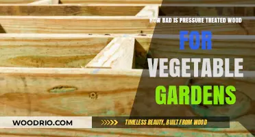 Is Pressure Treated Wood Safe for Vegetable Gardens?
