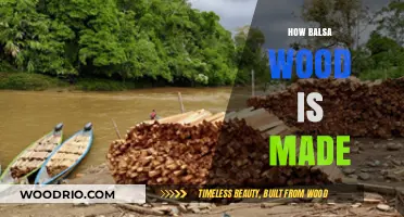 From Tree to Model: The Fascinating Journey of Balsa Wood