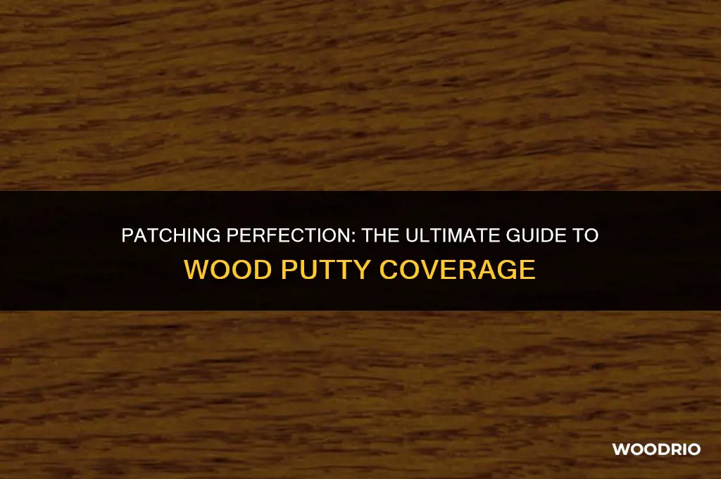 how big a hole will wood putty cover