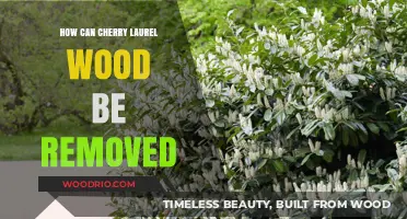 Effective Methods to Remove Cherry Laurel Wood Safely