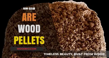 Exploring the Purity and Environmental Impact of Wood Pellets