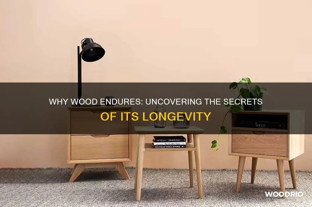 how come wood lasts so long