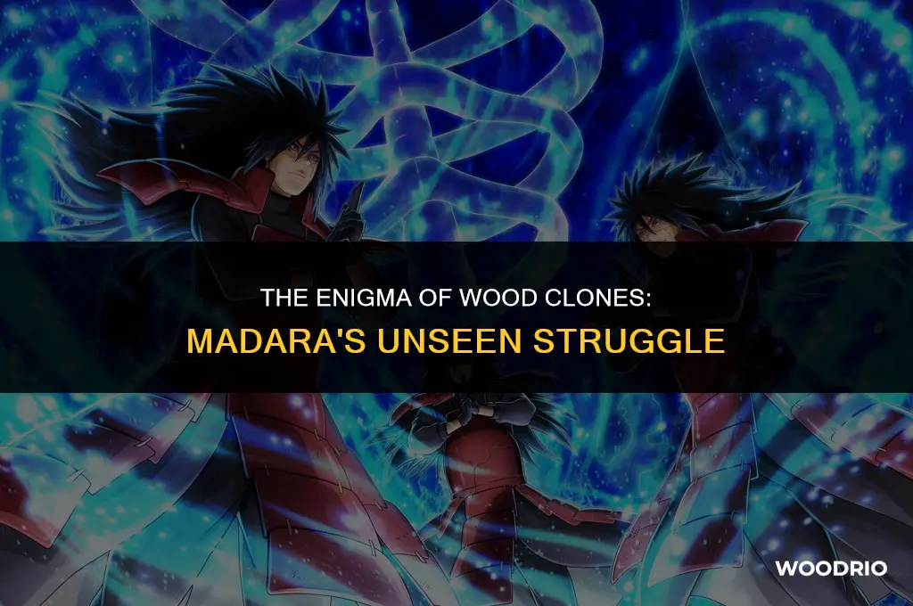 how could madara not distinguish wood clones