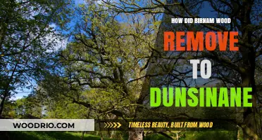 Macbeth's Prophecy Fulfilled: Birnam Wood's Journey to Dunsinane