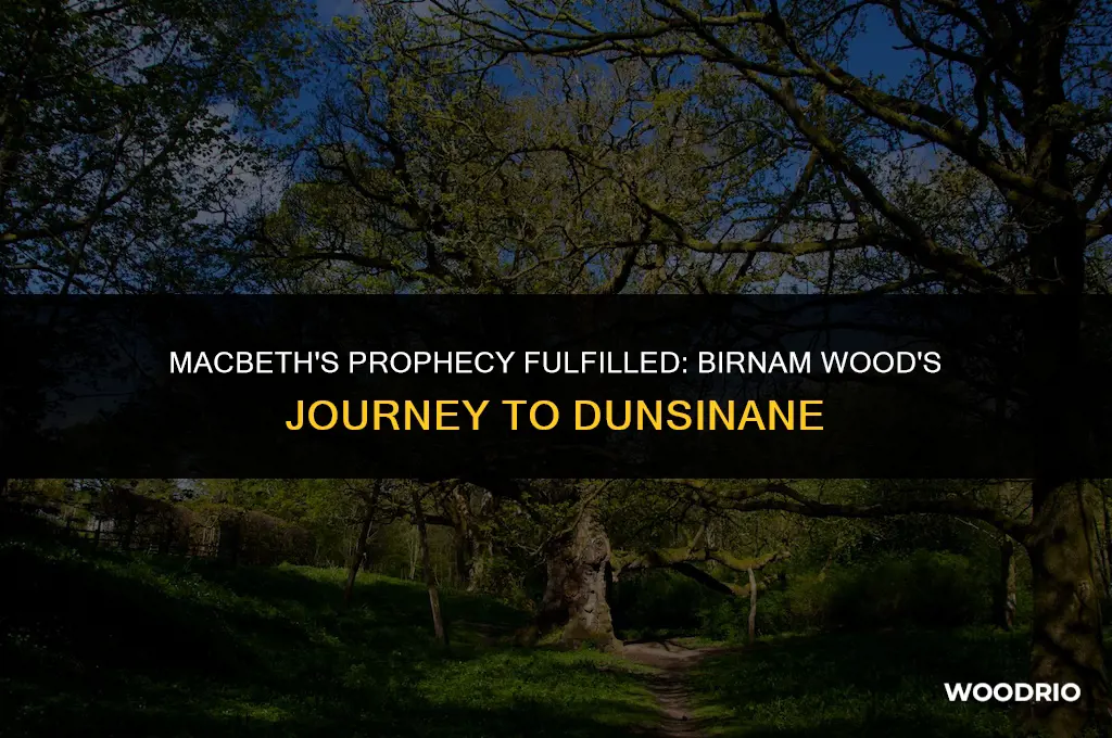 how did birnam wood remove to dunsinane