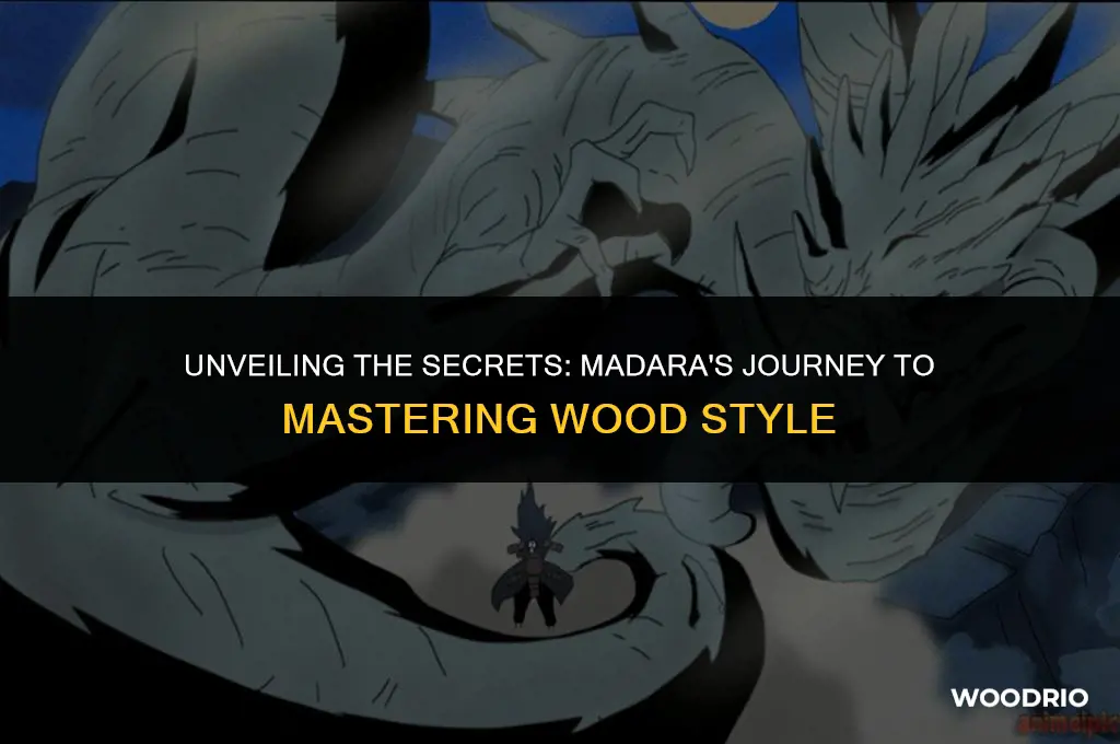 how did madara learn wood style