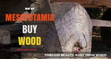 Mesopotamia's Timber Trade: How They Acquired Wood in a Desert Land