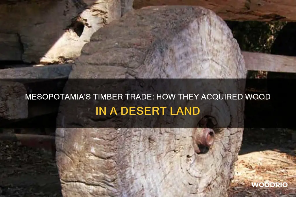 how did mesopotamia buy wood