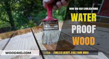 Ancient Secrets: Waterproofing Wood in Lost Civilizations Revealed