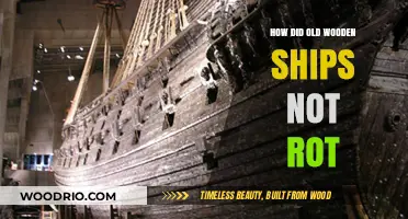 Preserving the Seas: Secrets Behind Wooden Ships' Resistance to Rot