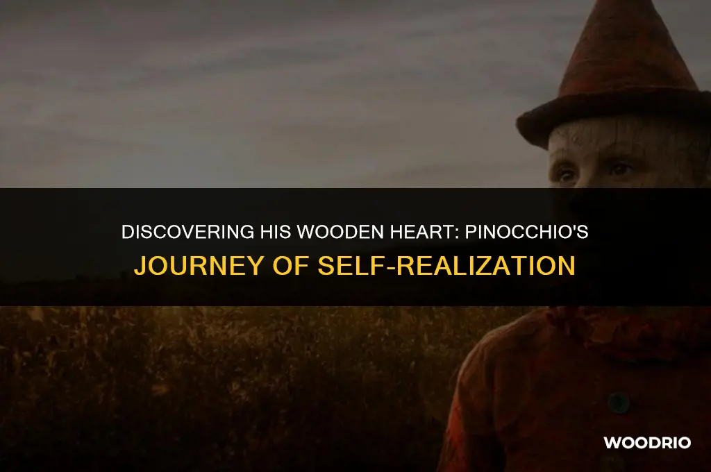 how did pinocchio find out he was made of wood