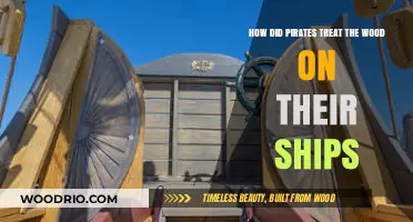 Preserving the Planks: A Look at Pirate Ship Maintenance