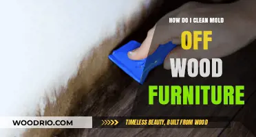 Effective Methods to Remove Mold from Wood Furniture