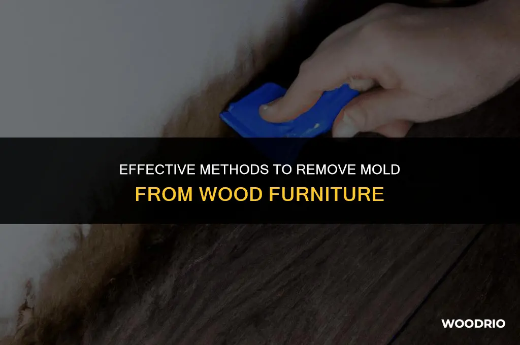 how do i clean mold off wood furniture