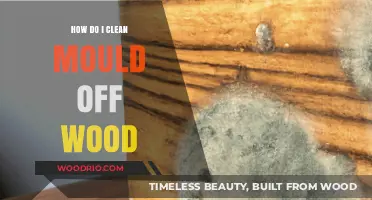 Effective Ways to Remove Mold from Wood Surfaces