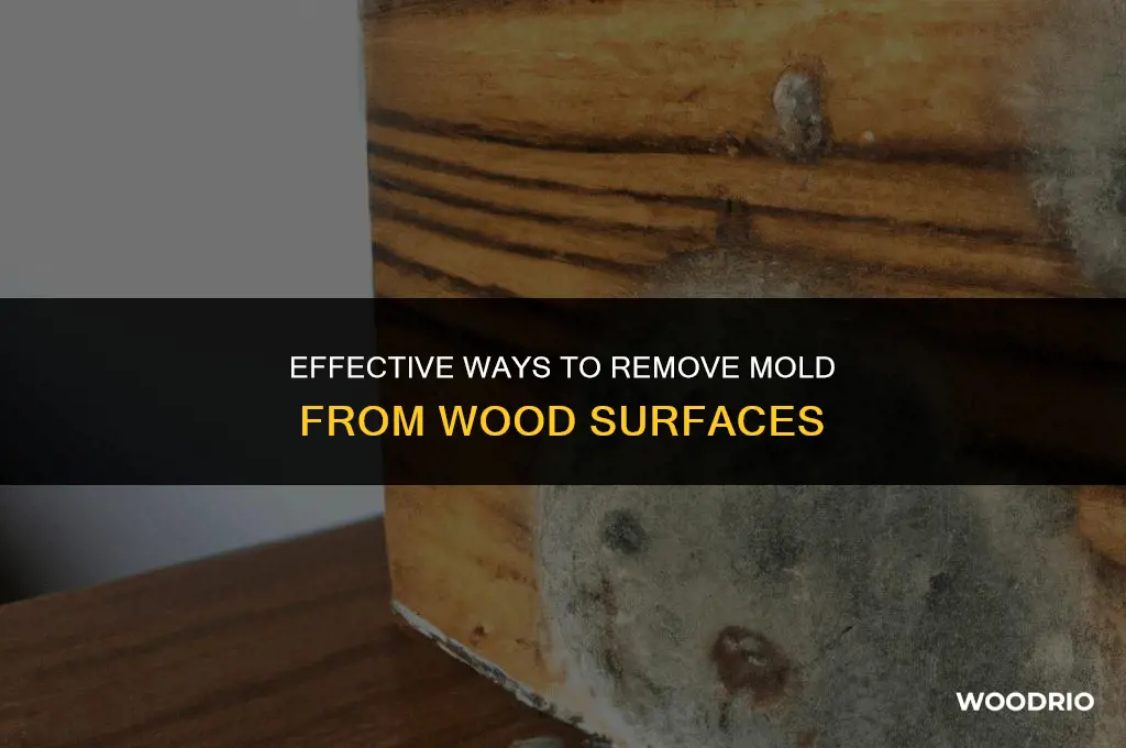 how do i clean mould off wood
