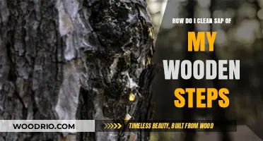 Effective Ways to Remove Tree Sap from Wooden Steps