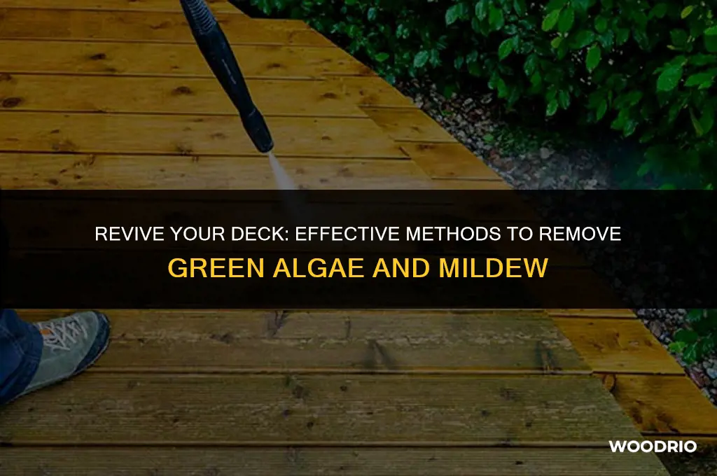 how do i clean the green off my wood deck