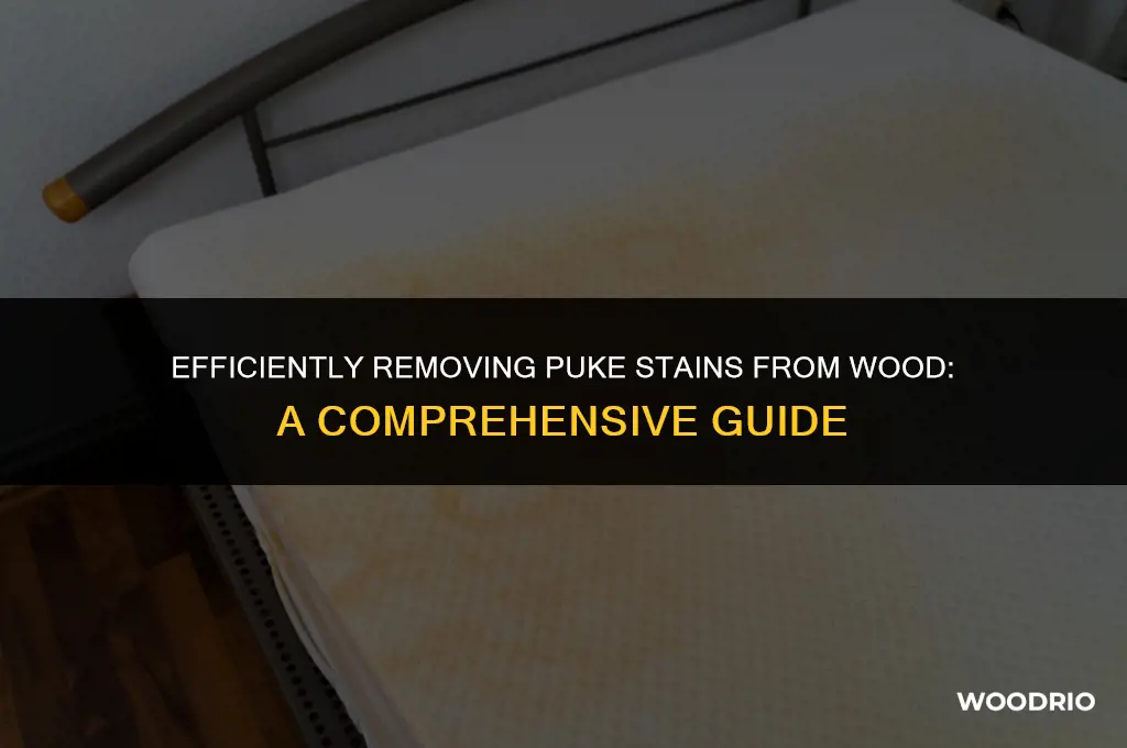 how do i remove a puke stain from wood