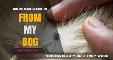 Safely Removing Wood Ticks from Your Dog: A Step-by-Step Guide