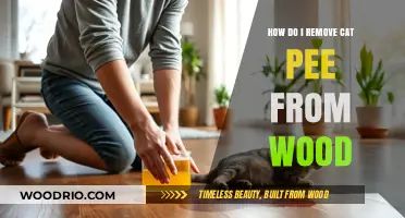 Effective Methods to Eliminate Cat Urine Odor from Wood Surfaces