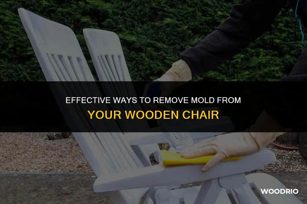 how do i remove meldew off of a wood chair