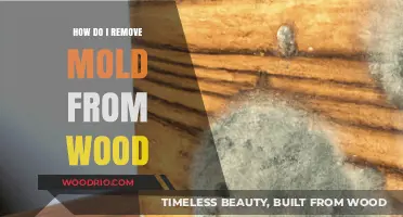 Effective Methods to Eliminate Mold from Wood Surfaces