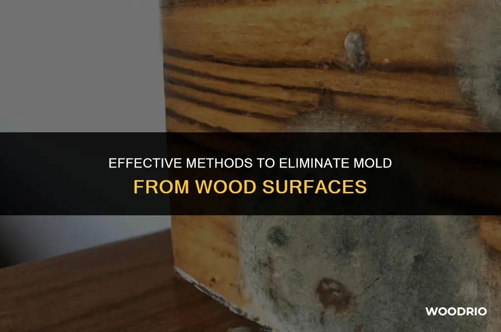 how do i remove mold from wood